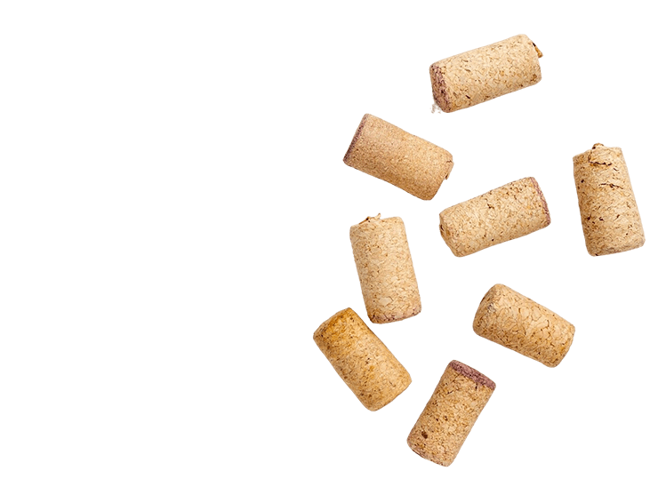 Cork Slider BG